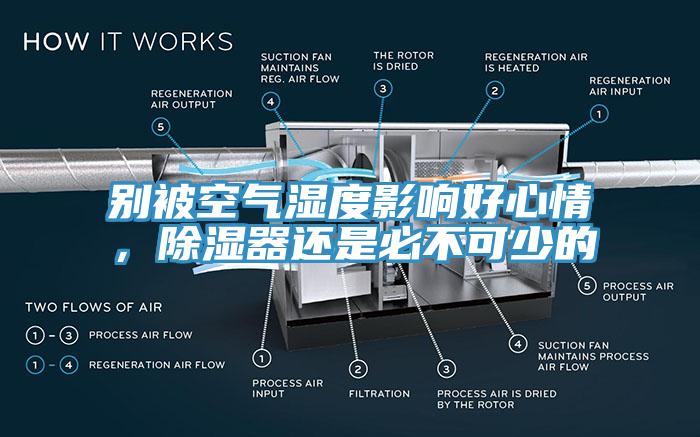 別被空氣濕度影響好心情，除濕器還是必不可少的