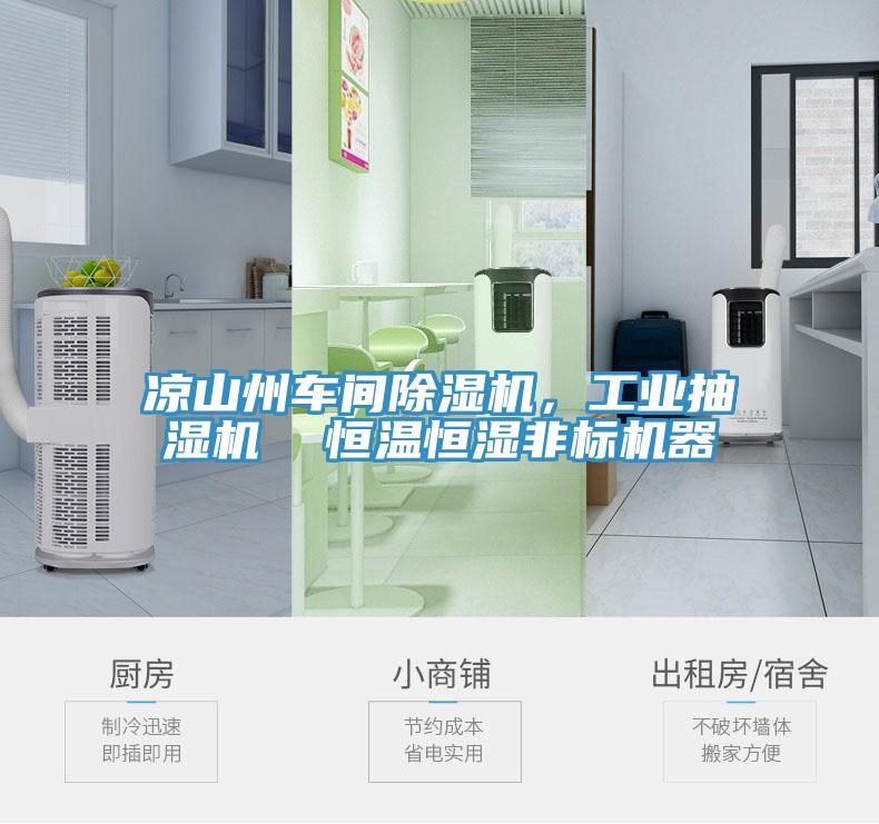 涼山州車間香蕉视频国产，工業抽濕機  恒溫恒濕非標機器