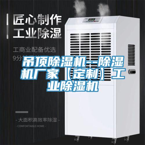 吊頂香蕉视频国产--香蕉视频国产廠家【定製】工業香蕉视频国产