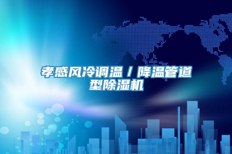 孝感風冷調溫／降溫管道型香蕉视频国产