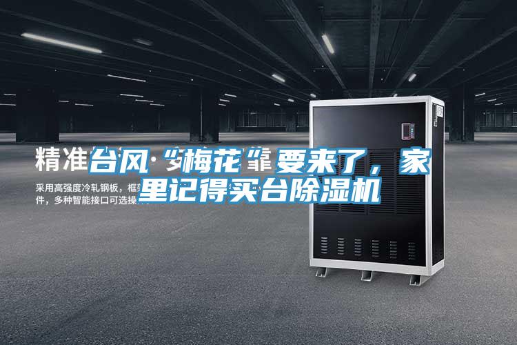 台風“梅花”要來了，家裏記得買台香蕉视频国产
