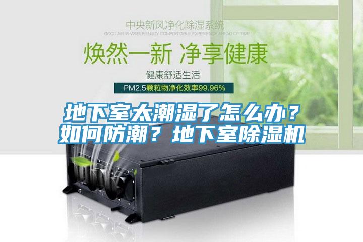 地下室太潮濕了怎麽辦？如何防潮？地下室香蕉视频国产
