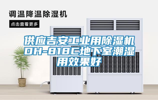 供應吉安工業用香蕉视频国产DH-818C地下室潮濕用效果好