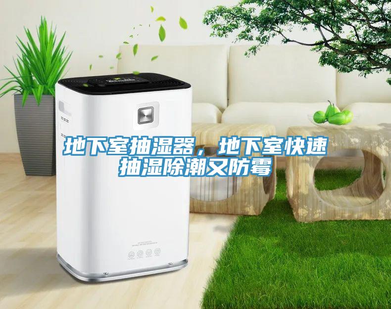 地下室抽濕器，地下室快速抽濕除潮又防黴