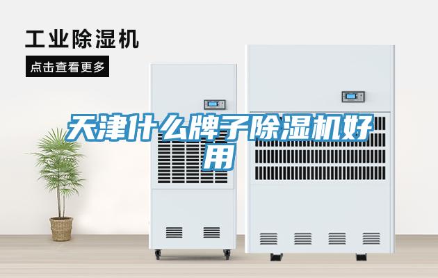 天津什麽牌子香蕉视频国产好用