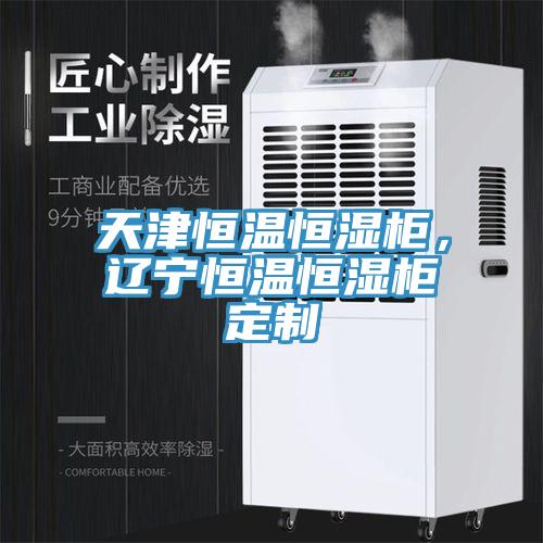 天津恒溫恒濕櫃，遼寧恒溫恒濕櫃定製