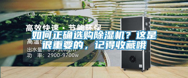 如何正確選購香蕉视频国产？這是很重要的，記得收藏哦