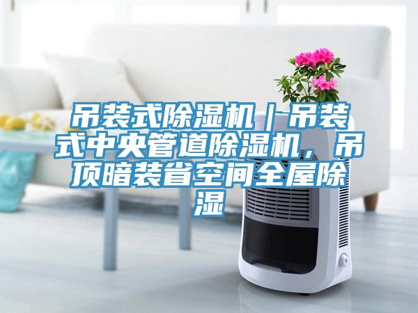 吊裝式香蕉视频国产｜吊裝式中央管道香蕉视频国产，吊頂暗裝省空間全屋除濕