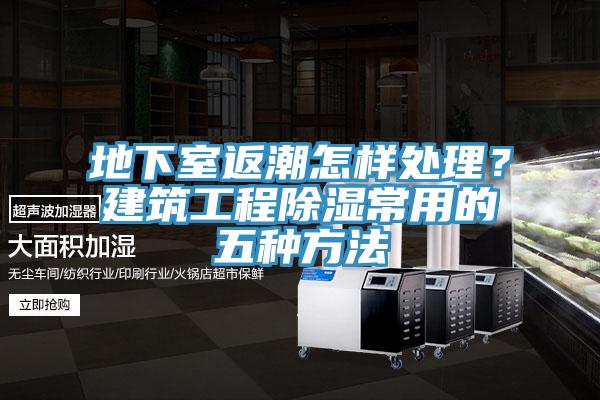 地下室返潮怎樣處理？建築工程除濕常用的五種方法