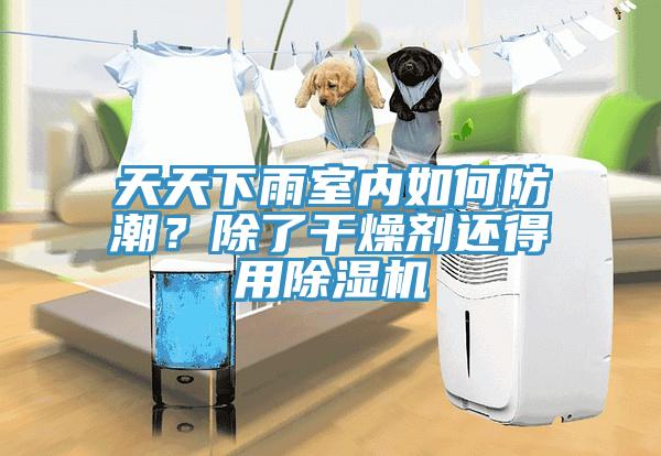 天天下雨室內如何防潮？除了幹燥劑還得用香蕉视频国产