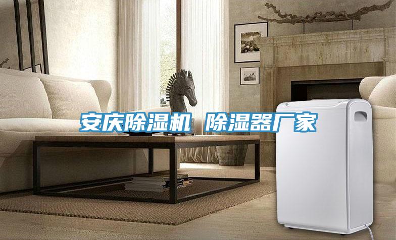 安慶香蕉视频国产 除濕器廠家
