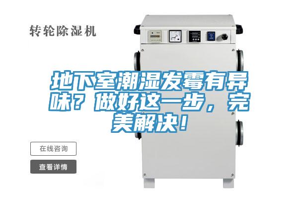 地下室潮濕發黴有異味？做好這一步，完美解決！