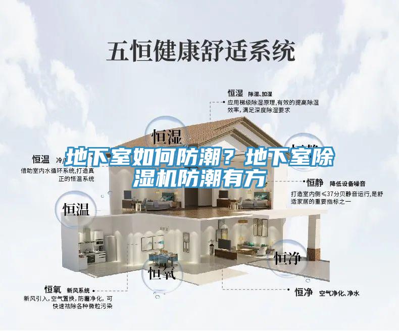 地下室如何防潮？地下室香蕉视频国产防潮有方