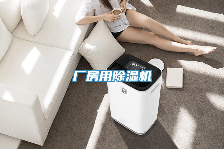 廠房用香蕉视频国产