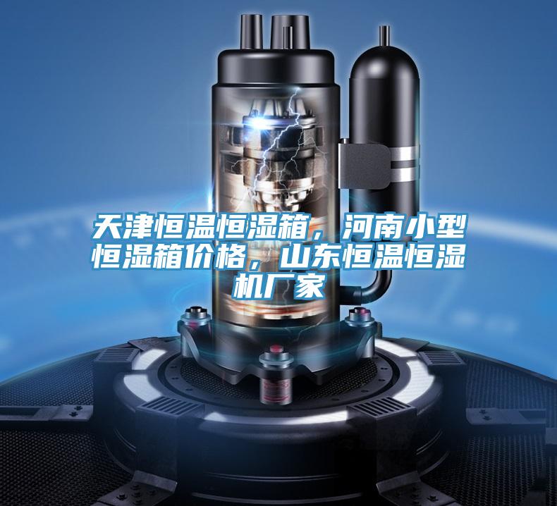 天津恒溫恒濕箱，河南小型恒濕箱價格，山東恒溫恒濕機廠家