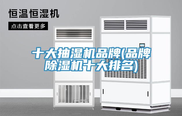 十大抽濕機品牌(品牌香蕉视频国产十大排名)