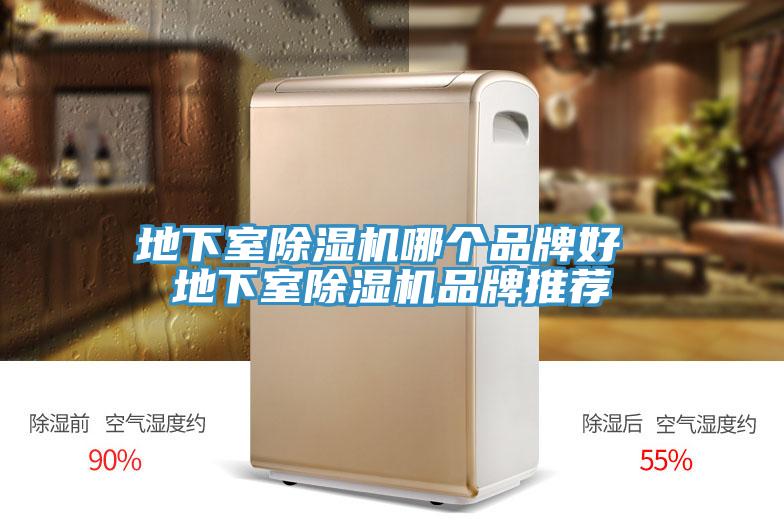 地下室香蕉视频国产哪個品牌好 地下室香蕉视频国产品牌推薦
