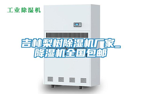 吉林梨樹香蕉视频国产廠家_降濕機全國包郵