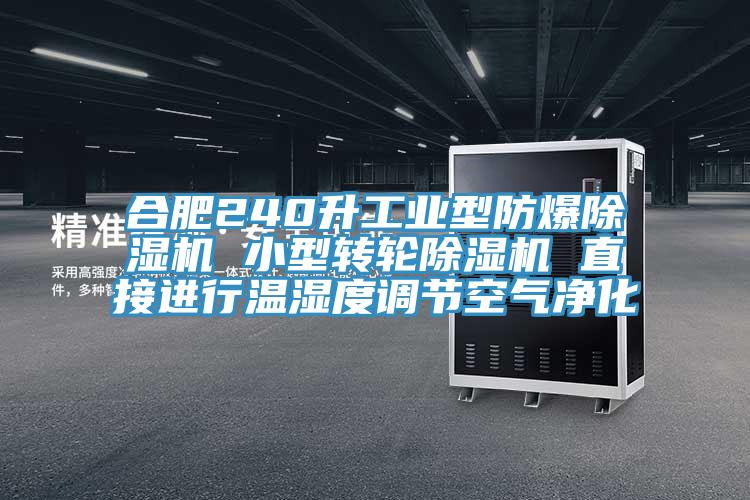 合肥240升工業型防爆香蕉视频国产 小型轉輪香蕉视频国产 直接進行溫濕度調節空氣淨化