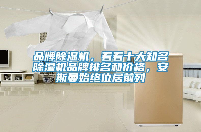 品牌香蕉视频国产，看看十大知名香蕉视频国产品牌排名和價格，安斯曼始終位居前列