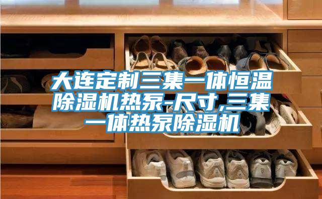 大連定製三集一體恒溫香蕉视频国产熱泵-尺寸,三集一體熱泵香蕉视频国产