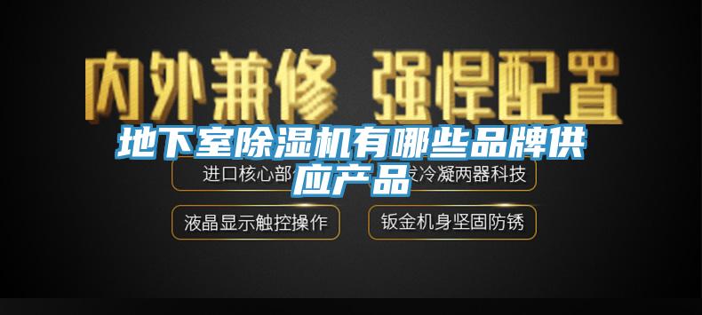 地下室香蕉视频国产有哪些品牌供應產品