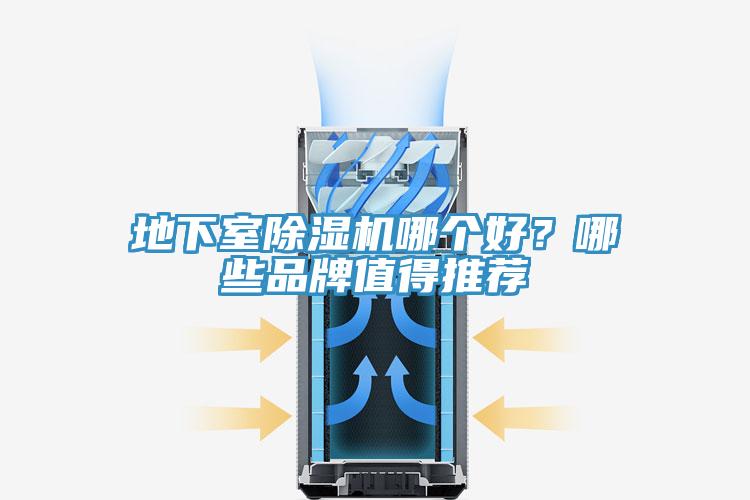 地下室香蕉视频国产哪個好？哪些品牌值得推薦
