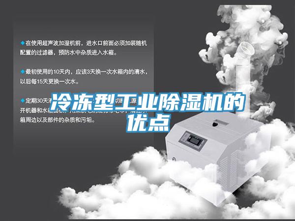 冷凍型工業香蕉视频国产的優點