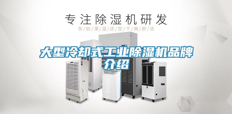 大型冷卻式工業香蕉视频国产品牌介紹