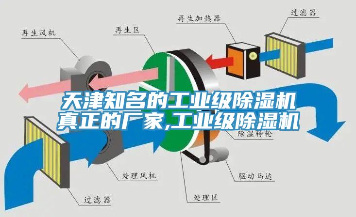 天津知名的工業級香蕉视频国产真正的廠家,工業級香蕉视频国产