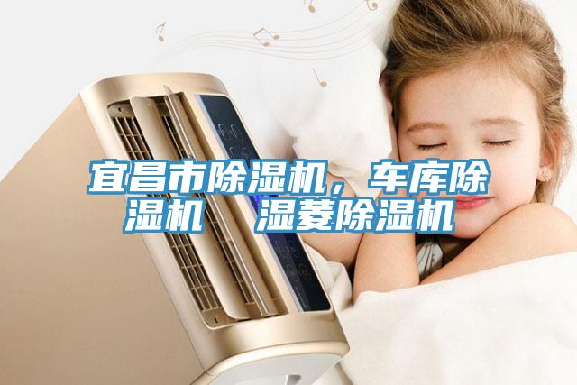 宜昌市香蕉视频国产，車庫香蕉视频国产  濕菱香蕉视频国产