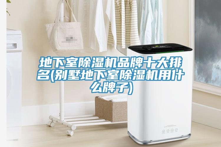 地下室香蕉视频国产品牌十大排名(別墅地下室香蕉视频国产用什麽牌子)