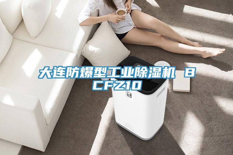 大連防爆型工業香蕉视频国产 BCFZ10