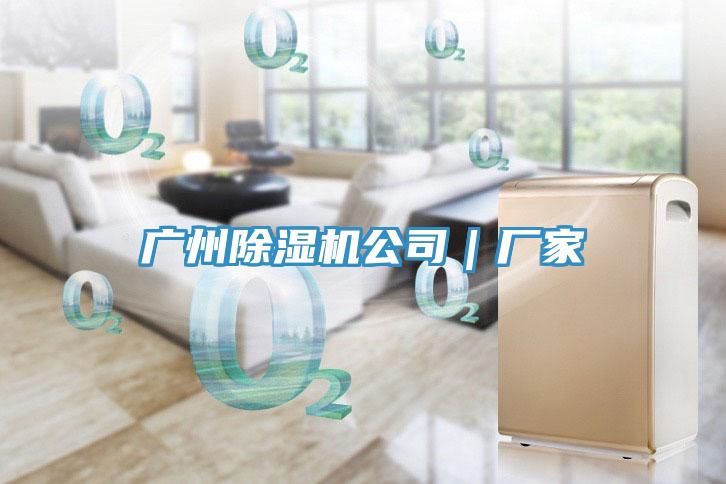 廣州香蕉视频国产公司｜廠家