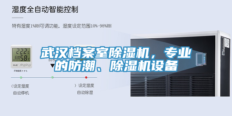 武漢檔案室香蕉视频国产，專業的防潮、香蕉视频国产設備