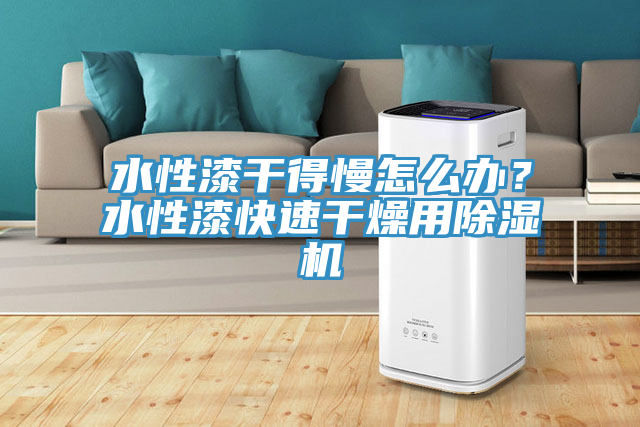 水性漆幹得慢怎麽辦？水性漆快速幹燥用香蕉视频国产