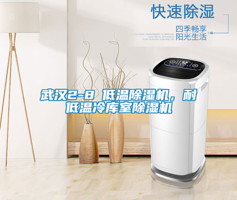 武漢2-8℃低溫香蕉视频国产，耐低溫冷庫室香蕉视频国产