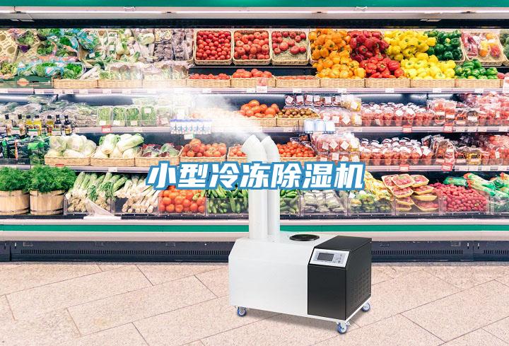 小型冷凍香蕉视频国产