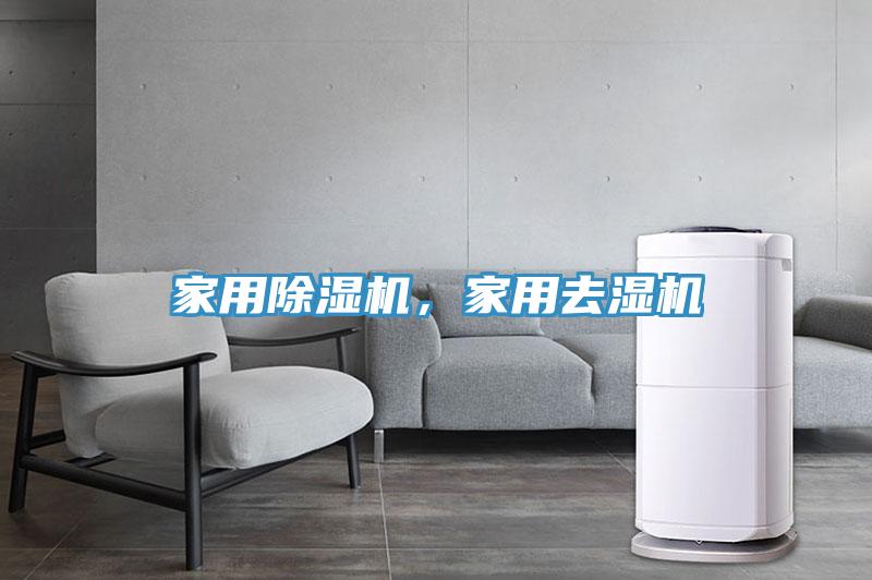 家用香蕉视频国产，家用去濕機