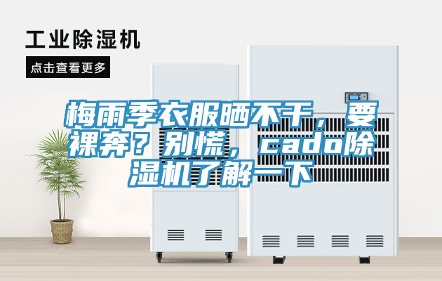 梅雨季衣服曬不幹，要裸奔？別慌，cado香蕉视频国产了解一下