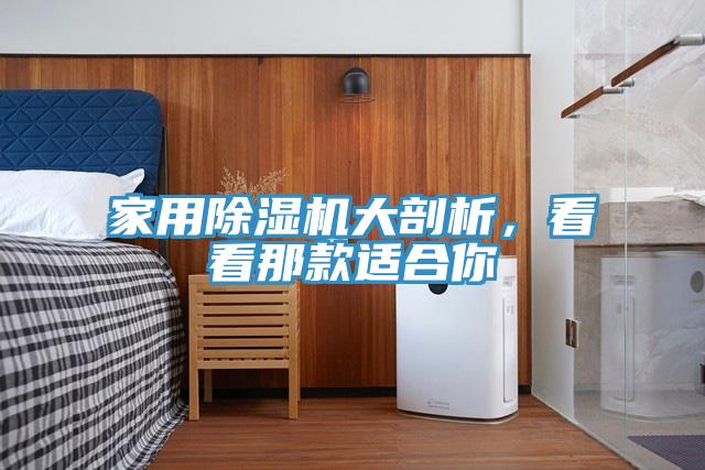 家用香蕉视频国产大剖析，看看那款適合你