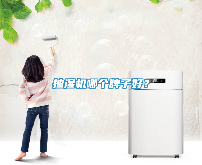 抽濕機哪個牌子好？