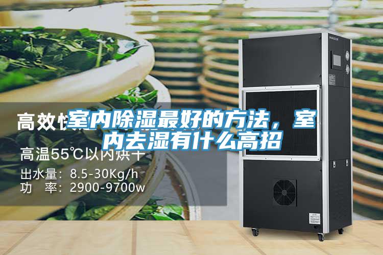 室內除濕最好的方法，室內去濕有什麽高招