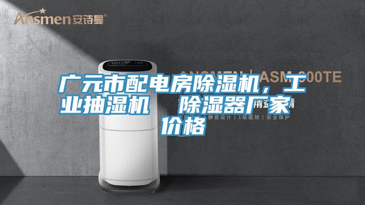 廣元市配電房香蕉视频国产，工業抽濕機  除濕器廠家 價格
