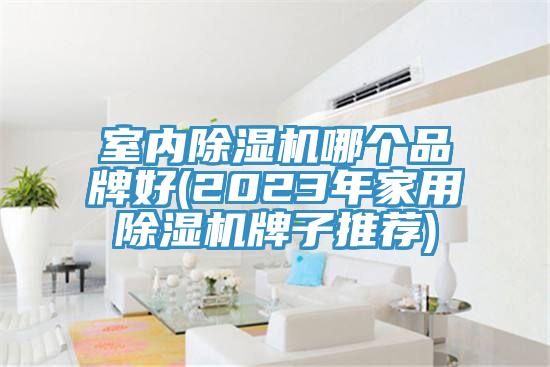 室內香蕉视频国产哪個品牌好(2023年家用香蕉视频国产牌子推薦)