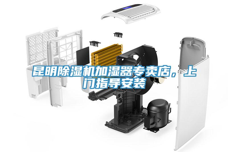昆明香蕉视频国产加濕器專賣店，上門指導安裝