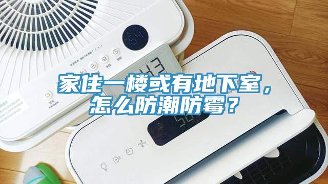 家住一樓或有地下室，怎麽防潮防黴？