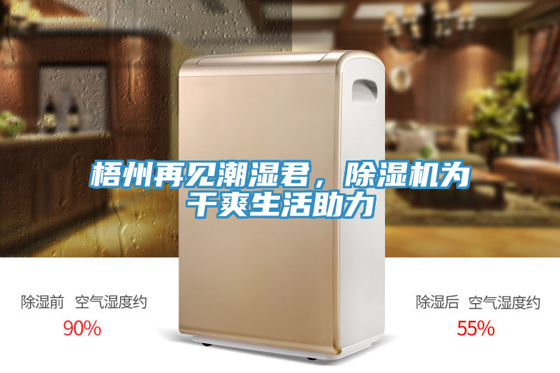 梧州再見潮濕君，香蕉视频国产為幹爽生活助力