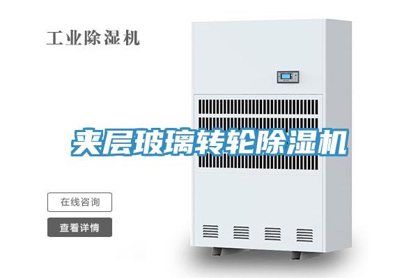 夾層玻璃轉輪香蕉视频国产