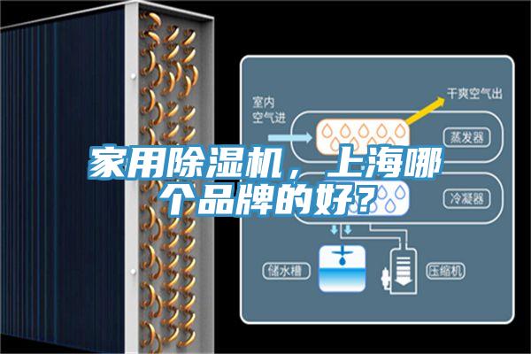 家用香蕉视频国产，上海哪個品牌的好？